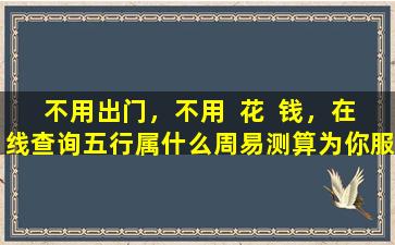 不用出门，不用  花  钱，在线查询五行属什么周易测算为你服务！